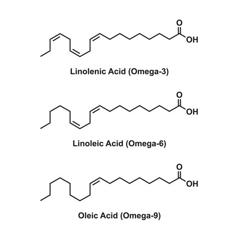 omega 9 fatty acids